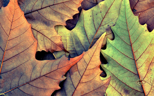 501343 (a): :1920x1200